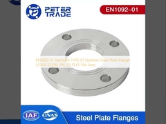EN1092-01 TYPE standard 01 Flange en tôle d'acier inoxydable SS304 SS316L PN 2.5 PLFF Façade plate